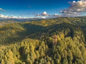 Wieża widokowa na górze Malnik